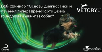 Бесплатный вебинар по диагностике, лечению и мониторингу пациентов с синдромом Кушинга