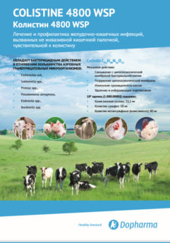 Colistine 4800 WSP