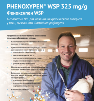 Phenoxypen WSP 325 mg/g